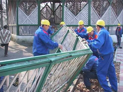 Foto demolari in parcul municipal Baia Mare (c) eMaramures.ro